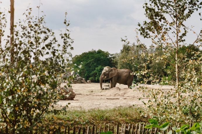 Beekse bergen reserveren Welzorg